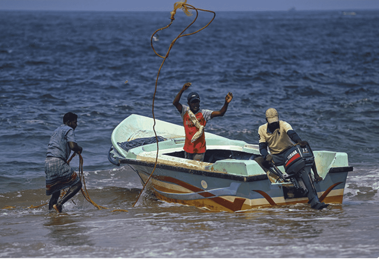 Why Sri Lanka’s artificial reef plan for fish breeding is ‘toxic’ in India  